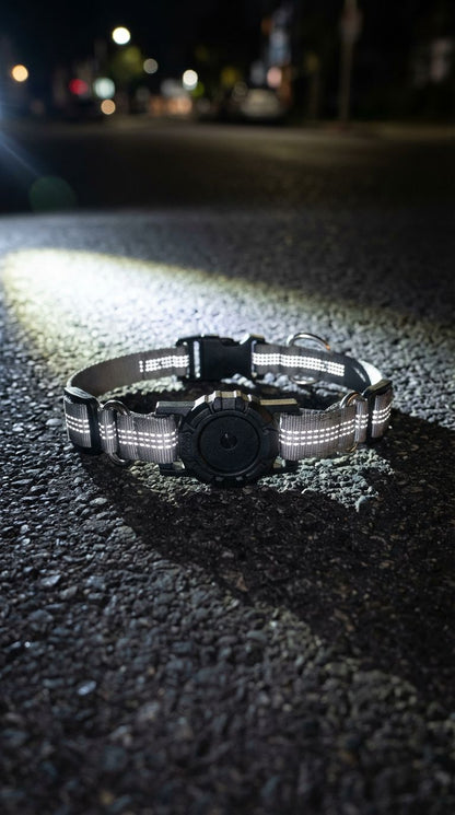 Collar para Perro Anti-pérdida con Función de Posicionamiento