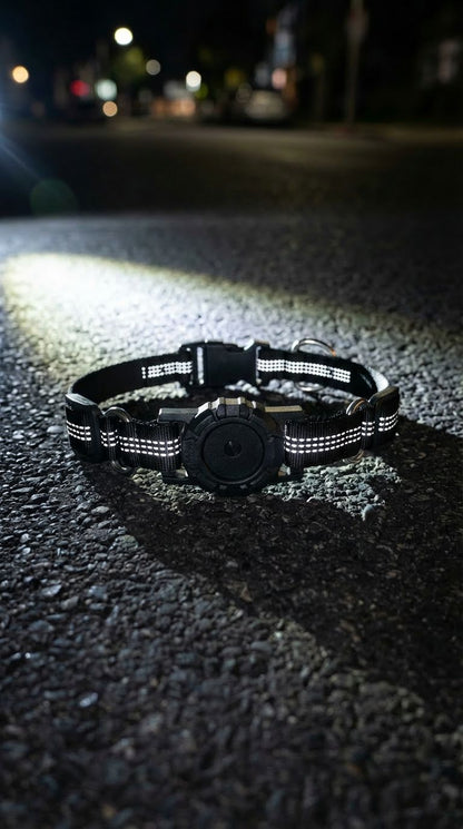 Collar para Perro Anti-pérdida con Función de Posicionamiento